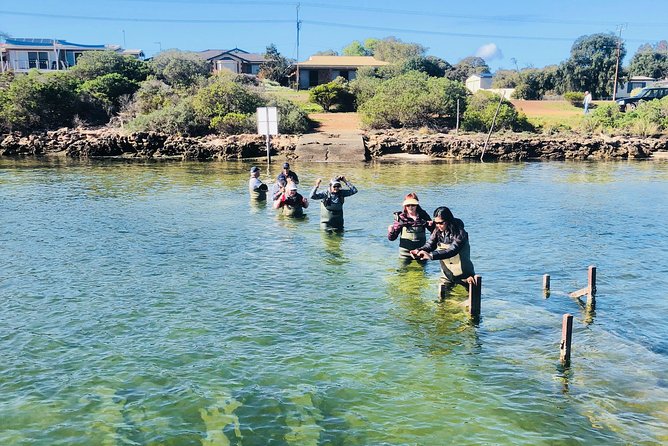 Oyster Farm Tour with Hotel Pick-up and return from Port Lincoln - Is $128.39 good value?