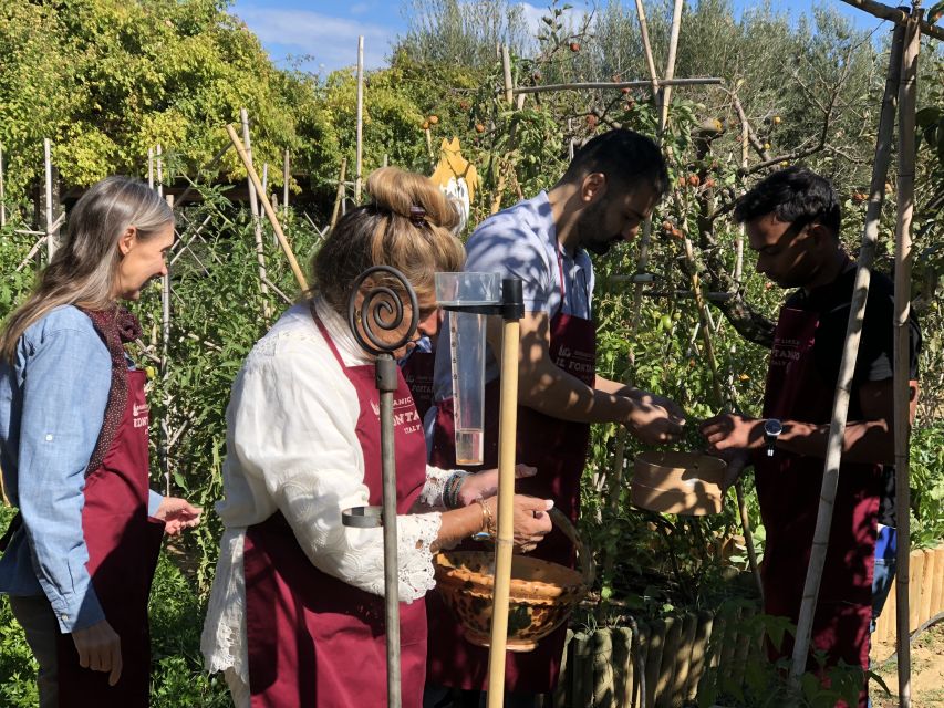 Paciano: Organic Cooking Class at a Farm with Lunch & Wine - Tiramisu, the sweet finish