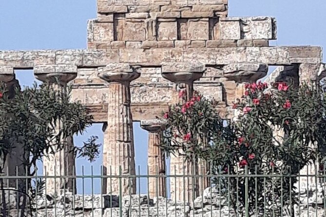Paestum and Buffalo Farm Day Tour from Sorrento - Why Paestum makes the long ride worthwhile