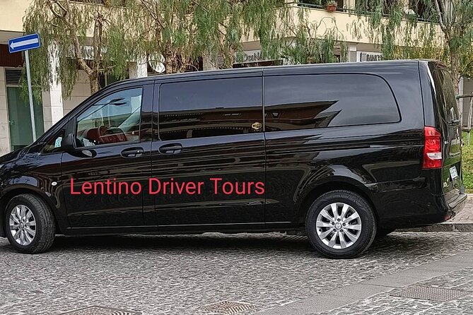 Paestum and Buffalo Farm Day Tour from Sorrento - From ancient stone to working buffalo dairy