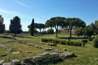 Paestum and Buffalo Farm Day Tour from Sorrento