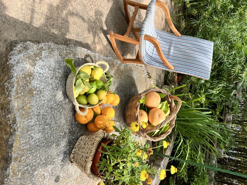 Palma: Orange Valley Vintage Train and Orange Farm Tour - Key points to know before booking