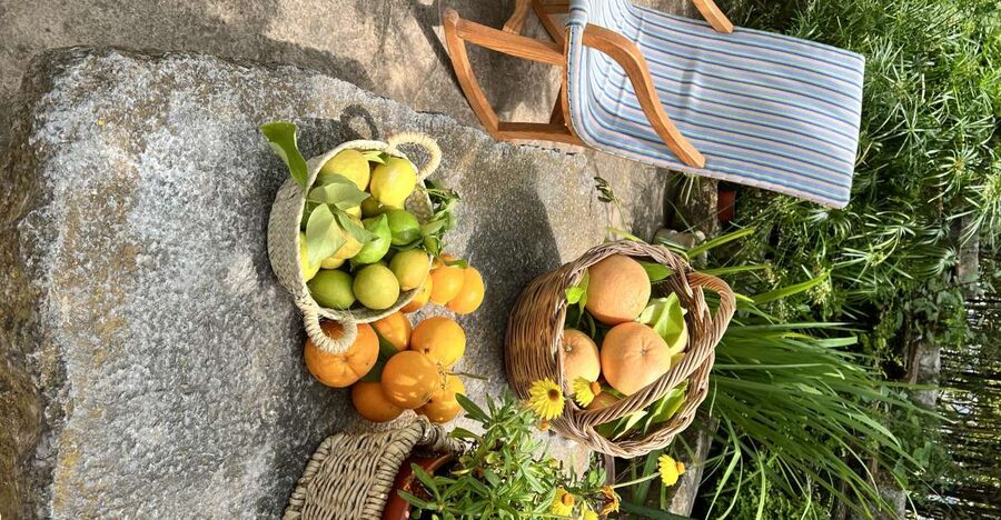 Palma: Orange Valley Vintage Train and Orange Farm Tour - Why the Palma to Sóller train matters