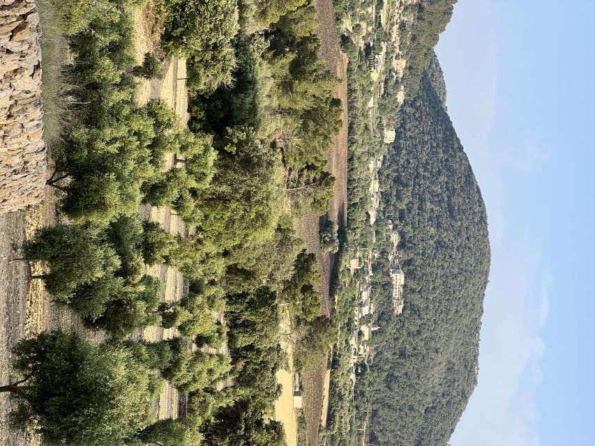 Palma: Orange Valley Vintage Train and Orange Farm Tour - Fresh juice and a Mallorcan picnic