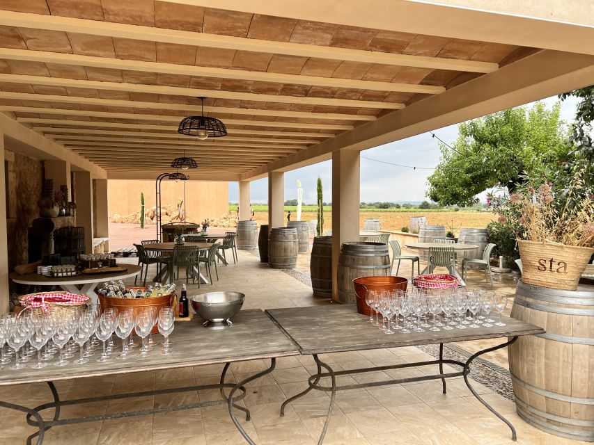 Palma: Orange Valley Vintage Train and Orange Farm Tour - Guide support and how the day feels