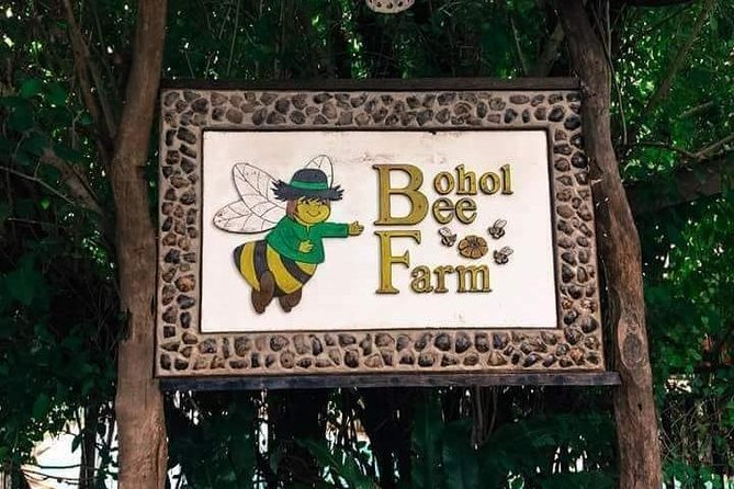 Panglao's Best Hinagdanan Cave, Bee Farm, Mirror of the World - Hinagdanan Cave and its daylight-lit lagoon