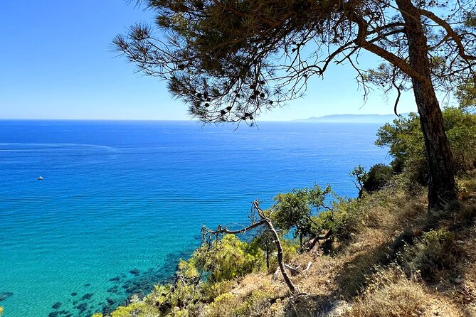 Paphos: Akamas Gorge & Turtle Bay & Donkey Farm Jeep Safari Tour - The Baths of Aphrodite and a short mythological pause