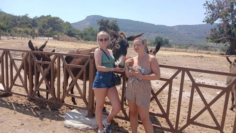 Paphos: Avakas Gorge & Turtle Bay Jeep Tour with Donkey Farm - Lara Bay and the sea turtle habitat
