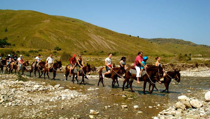 Paphos/Limassol: Donkey Farm Day Trip with Lunch & Tastings - Key points at a glance