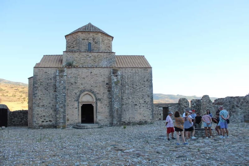 Paphos/Limassol: Donkey Farm Day Trip with Lunch & Tastings - Practical tips for a smoother visit