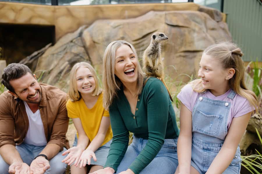 Paradise Country: Ultimate Aussie Farm Experience - Key points to know before you go