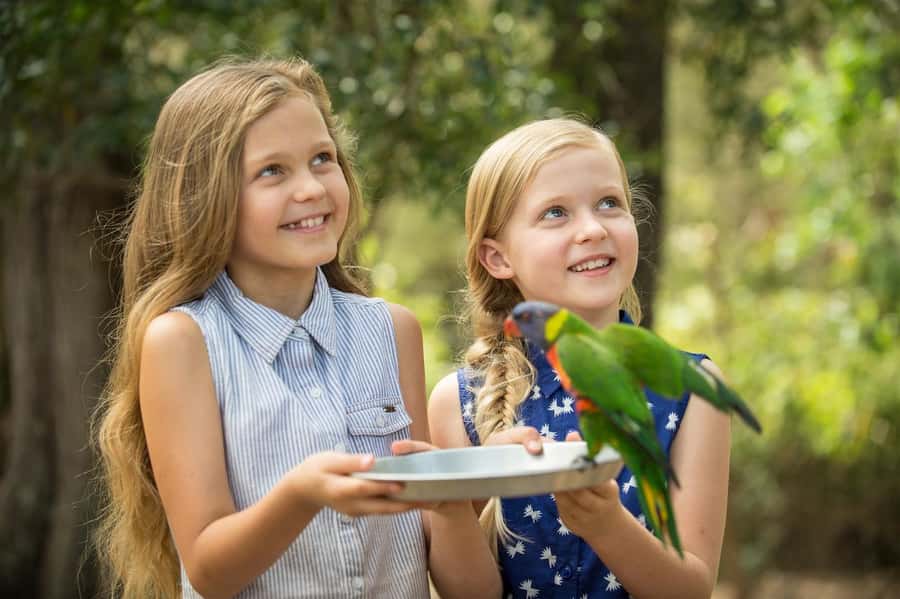 Paradise Country: Ultimate Aussie Farm Experience - What Paradise Country actually offers