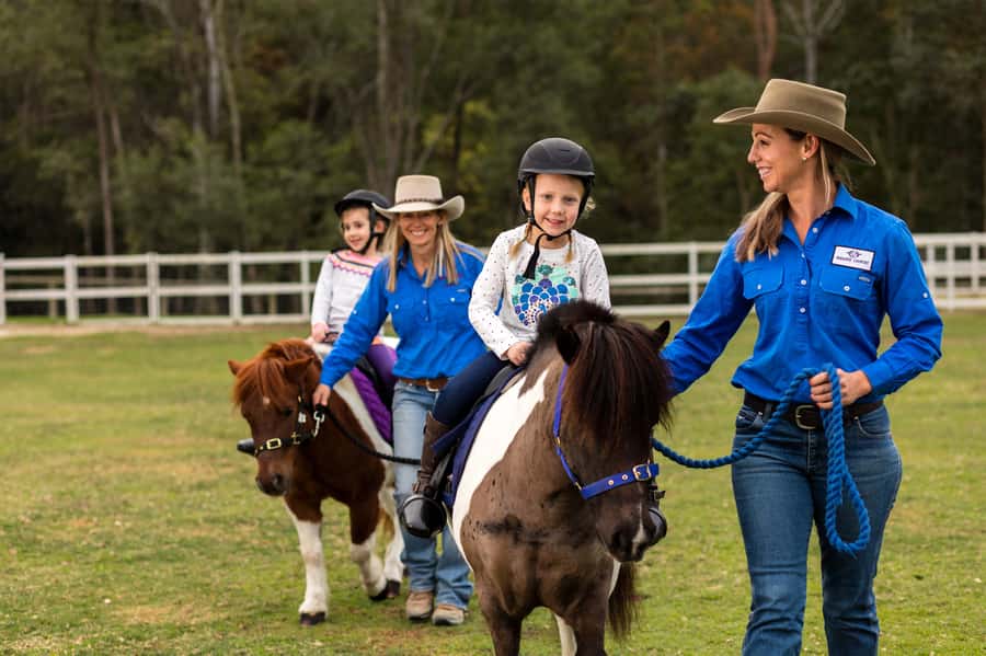 Paradise Country: Ultimate Aussie Farm Experience - Damper making and the taste of farm tradition