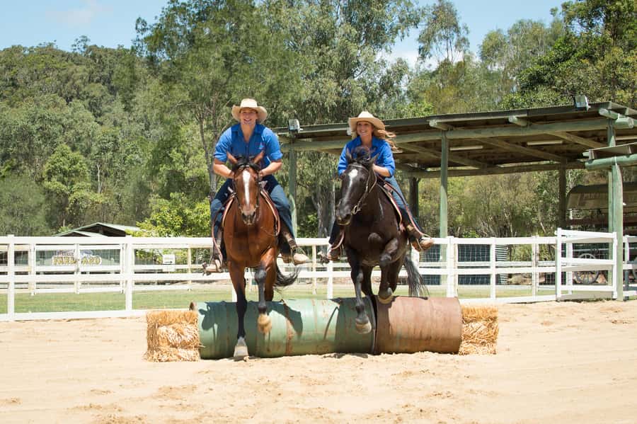 Paradise Country: Ultimate Aussie Farm Experience - Shaun the Sheep brings a comic side
