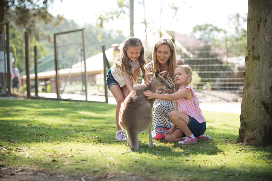 Paradise Country: Ultimate Aussie Farm Experience - Starting with the baby animal nursery