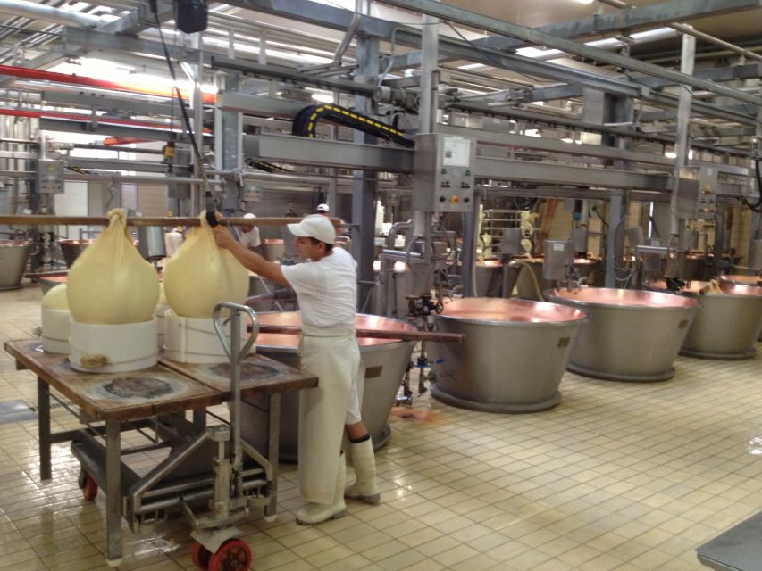 Parma: Parmigiano Reggiano Farm Tour & Tasting with Transfer - From Curds to Shaping and Salting