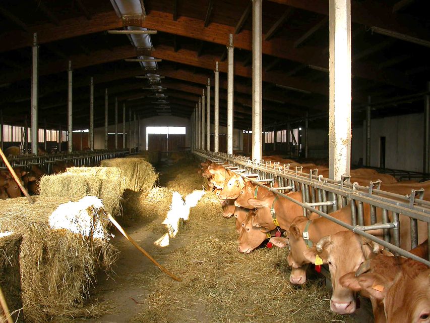 Parma: Parmigiano Reggiano Farm Tour & Tasting with Transfer - How the Consorzio Checks Each Wheel