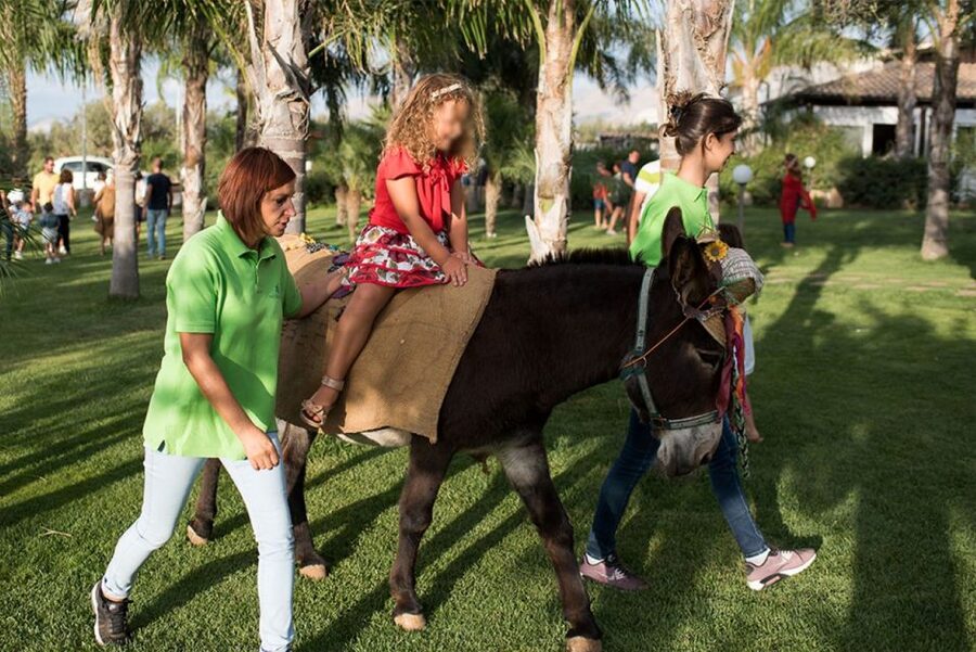 Partinico: Farm's Animals and Aromatic Garden Experience - A 90-minute taste of Sicilian farm life