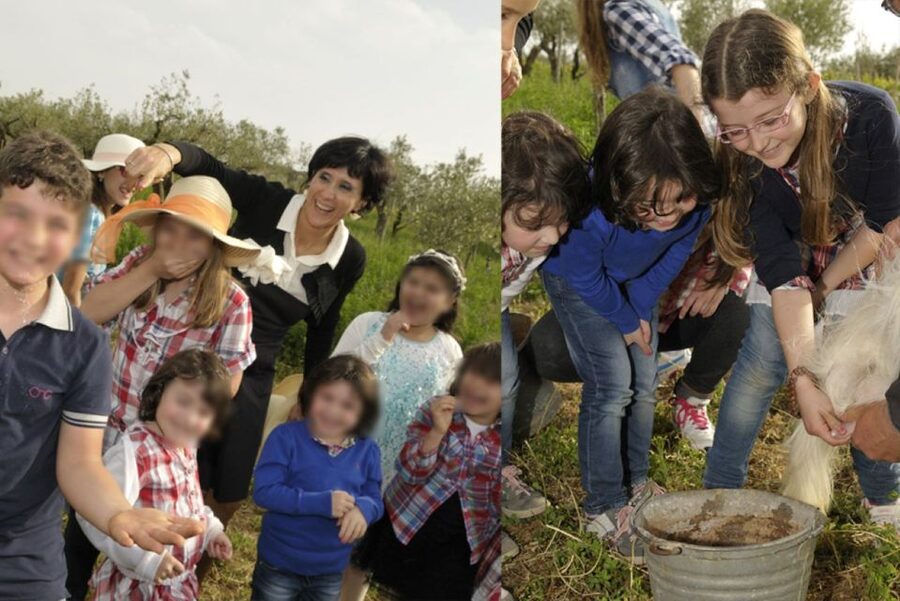 Partinico: Farm's Animals and Aromatic Garden Experience - Walk among olives, citrus, and vines