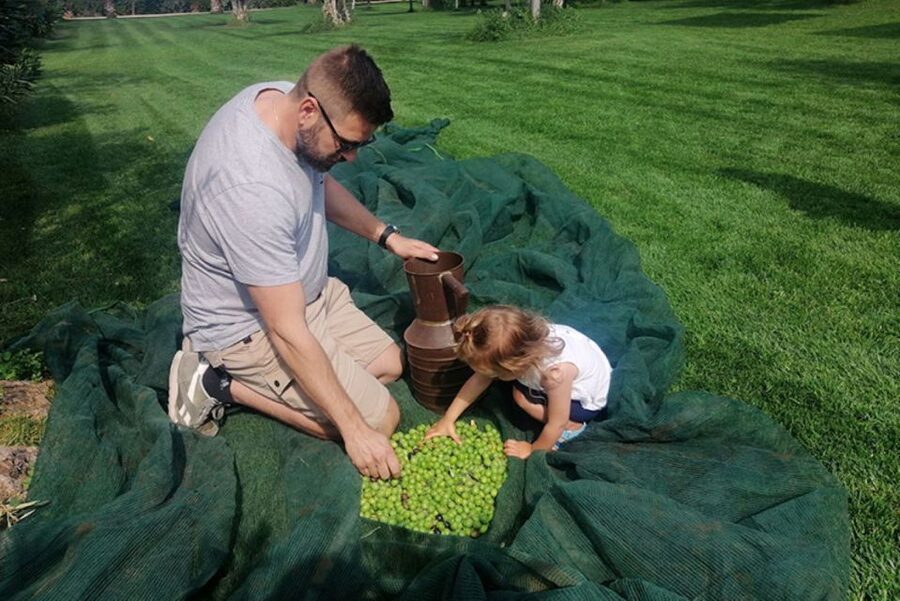 Partinico: Olive Harvest with Wine Tasting and Brunch - A quiet walk through the grove and Mediterranean garden