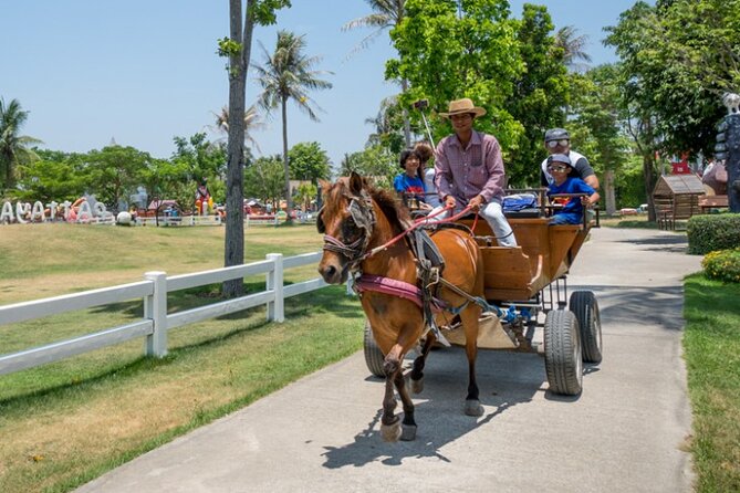 Pattaya sheep Farm Entrance Tickets - Entering Family Park Pattaya