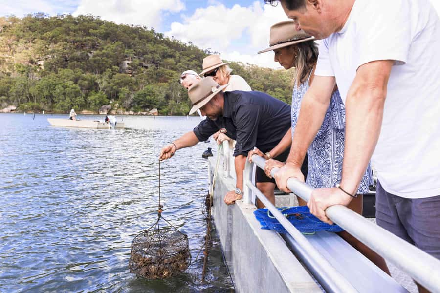 Pearl & Oyster Farm Hawkesbury River Cruise - Key points to know before you book
