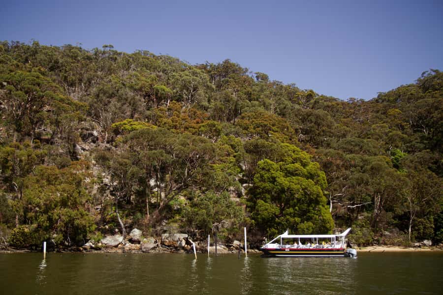Pearl & Oyster Farm Hawkesbury River Cruise - Pearls, grading, and the showroom option