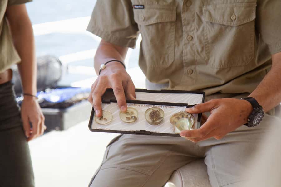 Pearl & Oyster Farm Hawkesbury River Cruise - Value at $38 per person