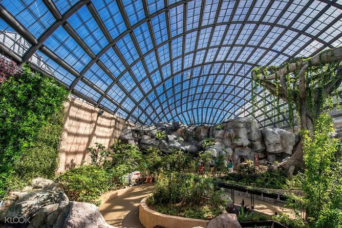 Penang Round Island Tour With Tropical Spice Garden & Entopia Butterfly Farm - Is $91 per person a fair price?
