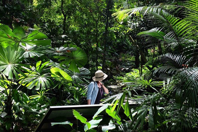Penang Round Island Tour With Tropical Spice Garden & Entopia Butterfly Farm - Starting at the Penang Esplanade