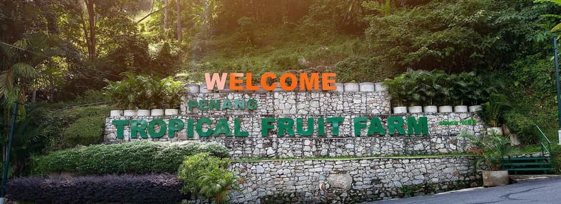 Penang: Tropical Fruit Farm Ticket - Walking through 25 acres of tropical fruit trees