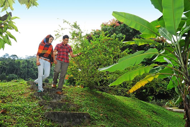 Penang Tropical Fruit Farm with Fruit Tasting - Is the $61 price fair?