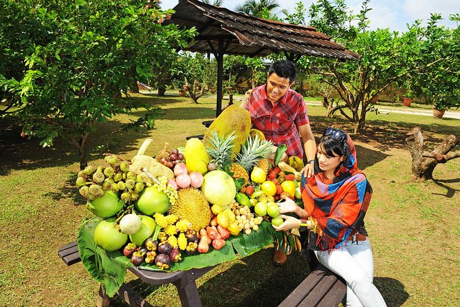 Penang Tropical Fruit Farm with Fruit Tasting - Fruit tasting with hills and ocean in view