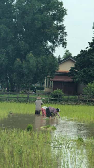 Pepper farm guided tour, Kep/Crab Market, salt & secret lake - What the guide and vehicle add