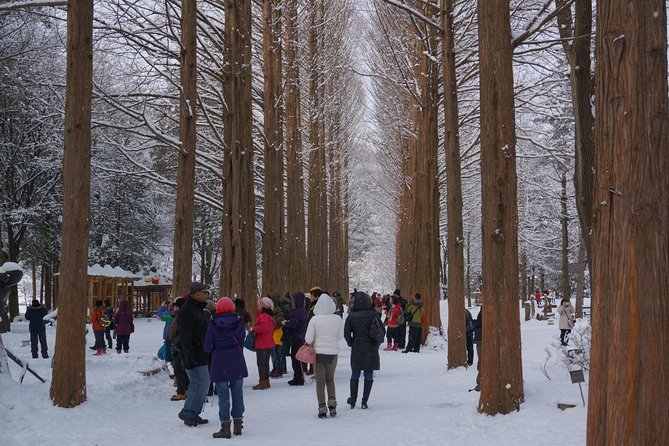 [Perfect Private Tour] Nami island, Petite France and Organic Strawberry Farm - Who will enjoy this day most