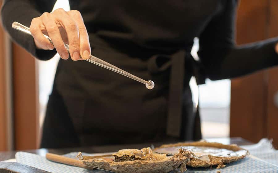 Perth: Harvest Your Own Pearl Experience - Opening an oyster at Willie Creek Pearls