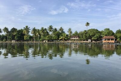 Philipkutty’s Farm Culinary Tour including Lunch and Cooking Demo