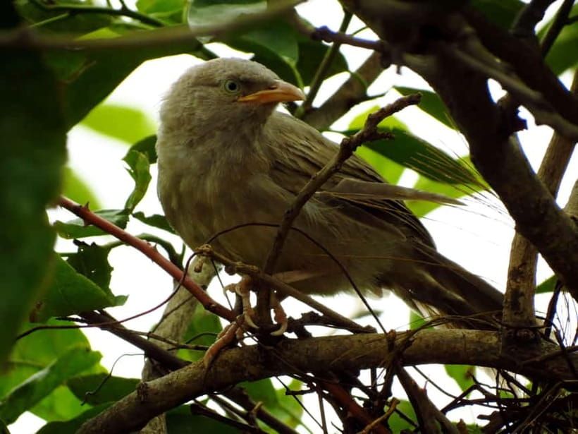 Phong Nha - Paradise Cave & Dark Cave or Duck Farm in needed - Key points to know before booking