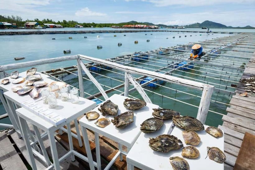 Phuket: Highlights Tour with Pearl Farm & Elephant Village - Timing, comfort, and what to bring