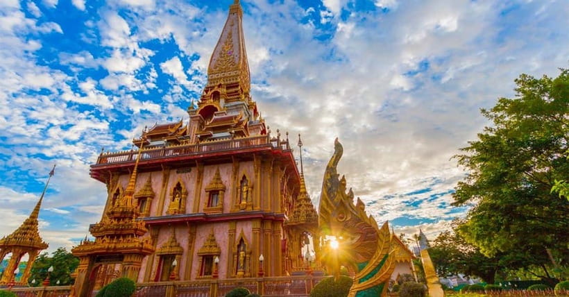 Phuket: Highlights Tour with Pearl Farm & Elephant Village - Final call: a useful overview with one clear limitation