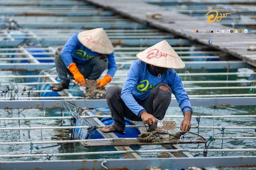 Phuket: Highlights Tour with Pearl Farm & Elephant Village - FAQ
