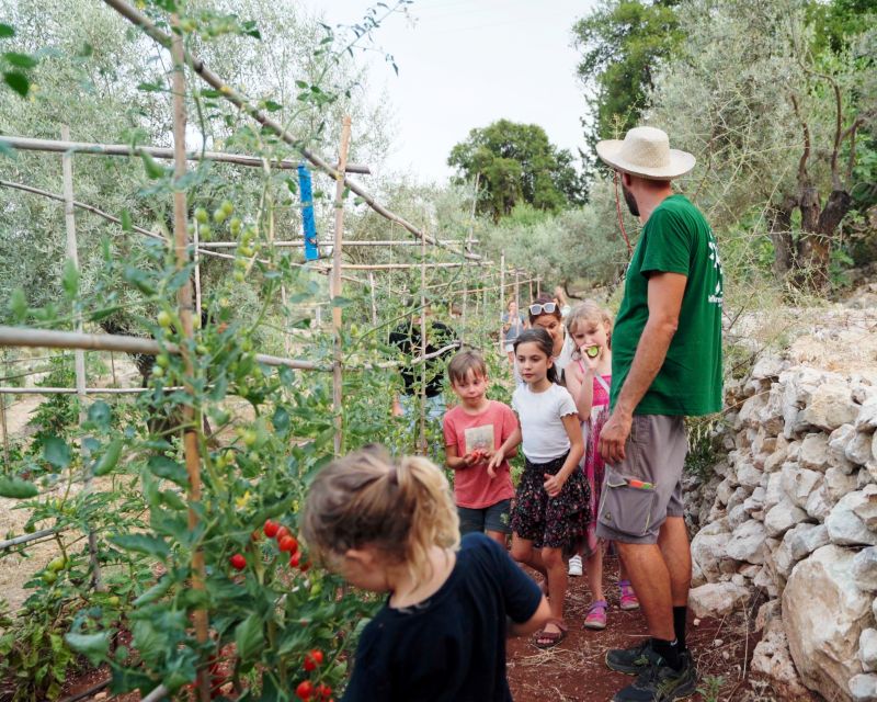Phyllo Pie Baking Class @ Lefkada Micro Farm - Practical details that affect your decision