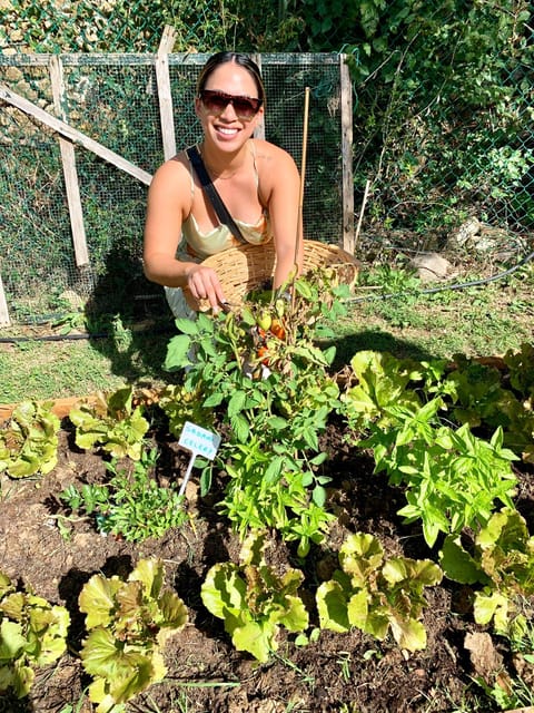 Pick Vegetables at the farm & Cook pasta - Walking the vineyard and vegetable garden