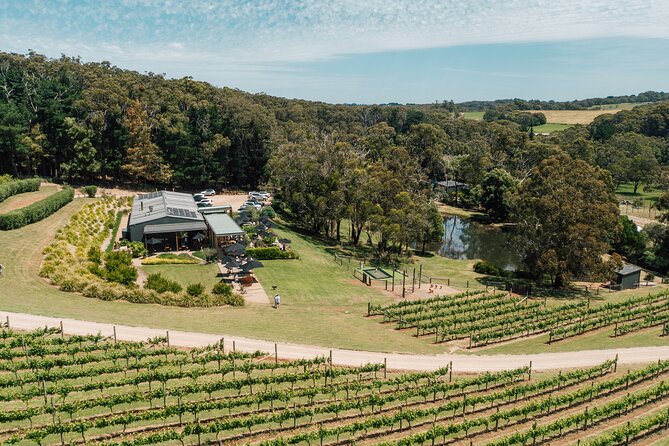 Picnic and Farm Experience at Red Hill - What arrives in the picnic basket