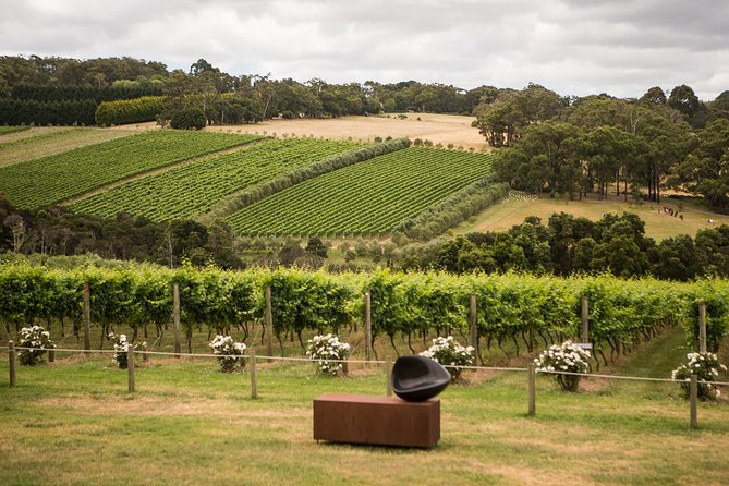 Picnic and Farm Experience at Red Hill - A quiet meal with a real sense of place