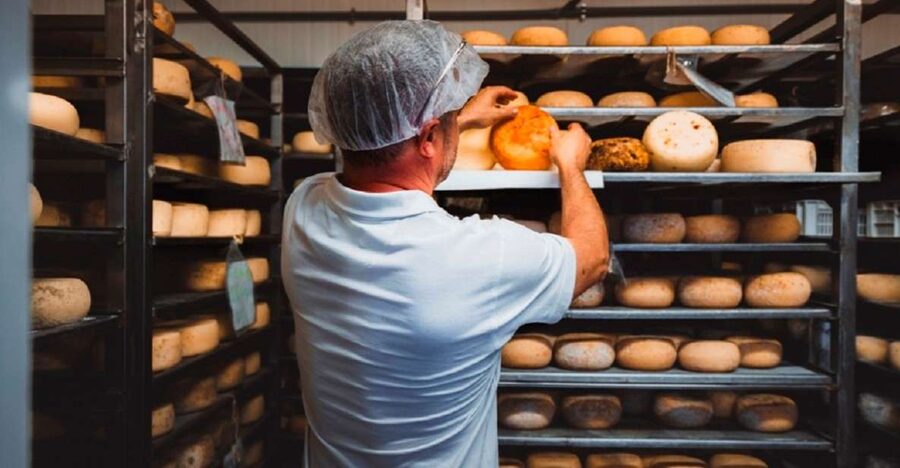 Pienza: Dairy Farm Tour with Pecorino Cheese Tasting - Why Pienza Pecorino tastes different