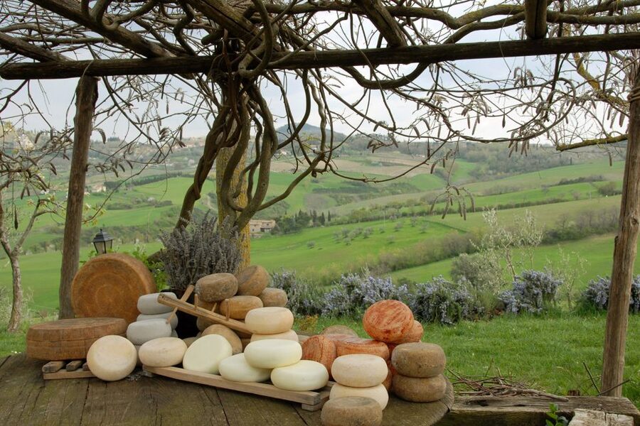 Pienza: Dairy Farm Tour with Pecorino Cheese Tasting - Booking details worth handling carefully