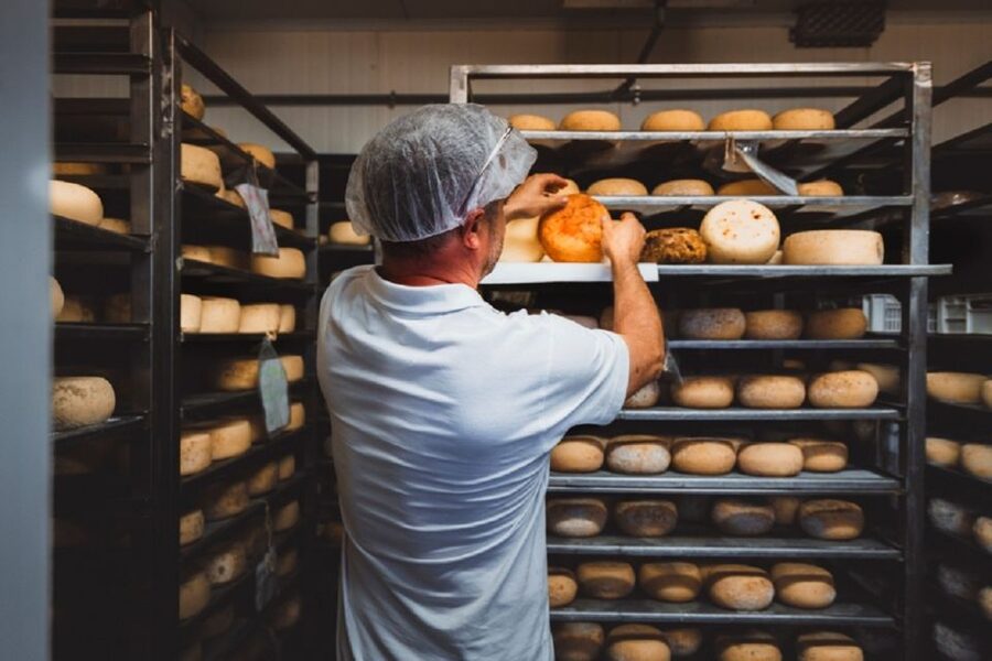 Pienza: Dairy Farm Tour with Pecorino Cheese Tasting - Fresh, semi-aged, and aged cheese on one plate