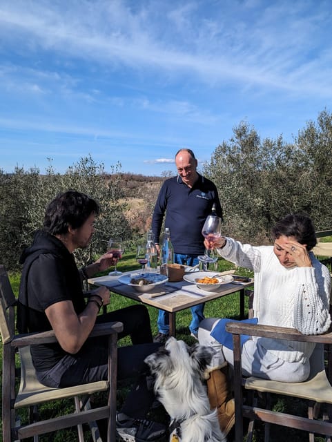 Pienza: Sheep and Chickens Tour w/Gourmet Lunch at Farmhouse - How the two-hour schedule feels