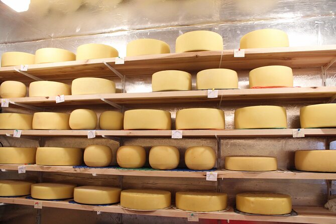 Pisa, Lucca & Cheese Farm with wine tasting Private Tour - Should you book this Pisa and Lucca day?